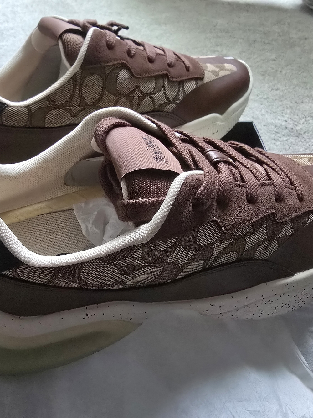 Coach Brown & Cream Signature Low-Top Sneakers